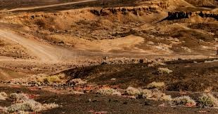 🎮HLE 1-1 T1：Kanavi装甲猴离谱送命，T1扳平总比分