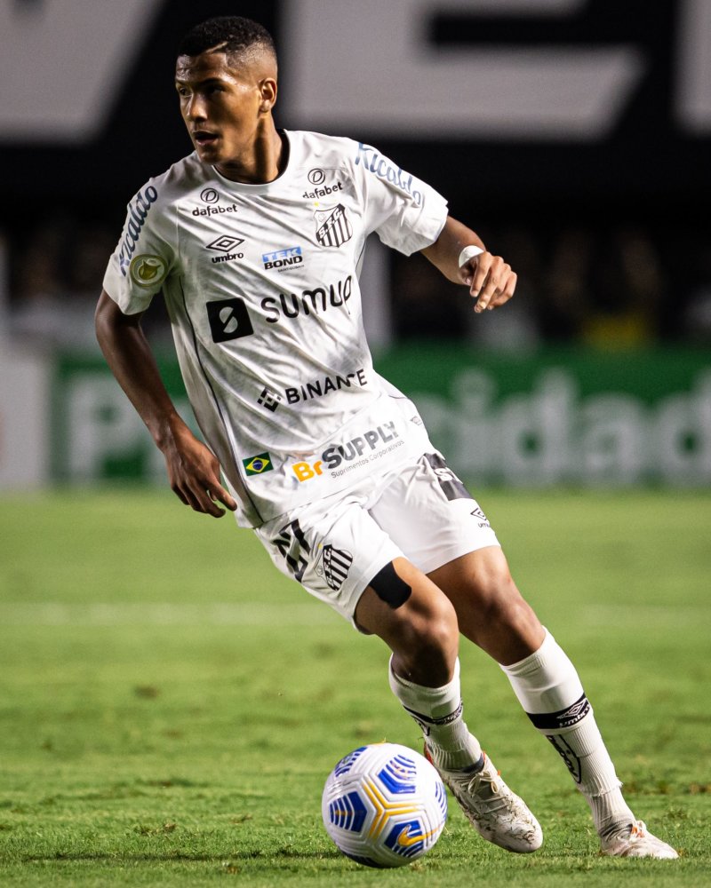 有的无畏勇 有的无畏勇