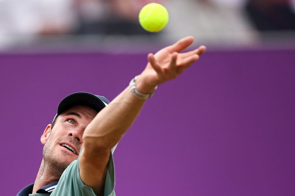 提供了切实 提供了切实