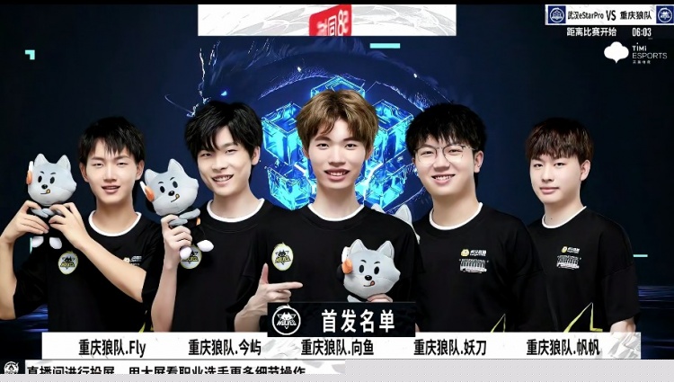 只下5 只下5